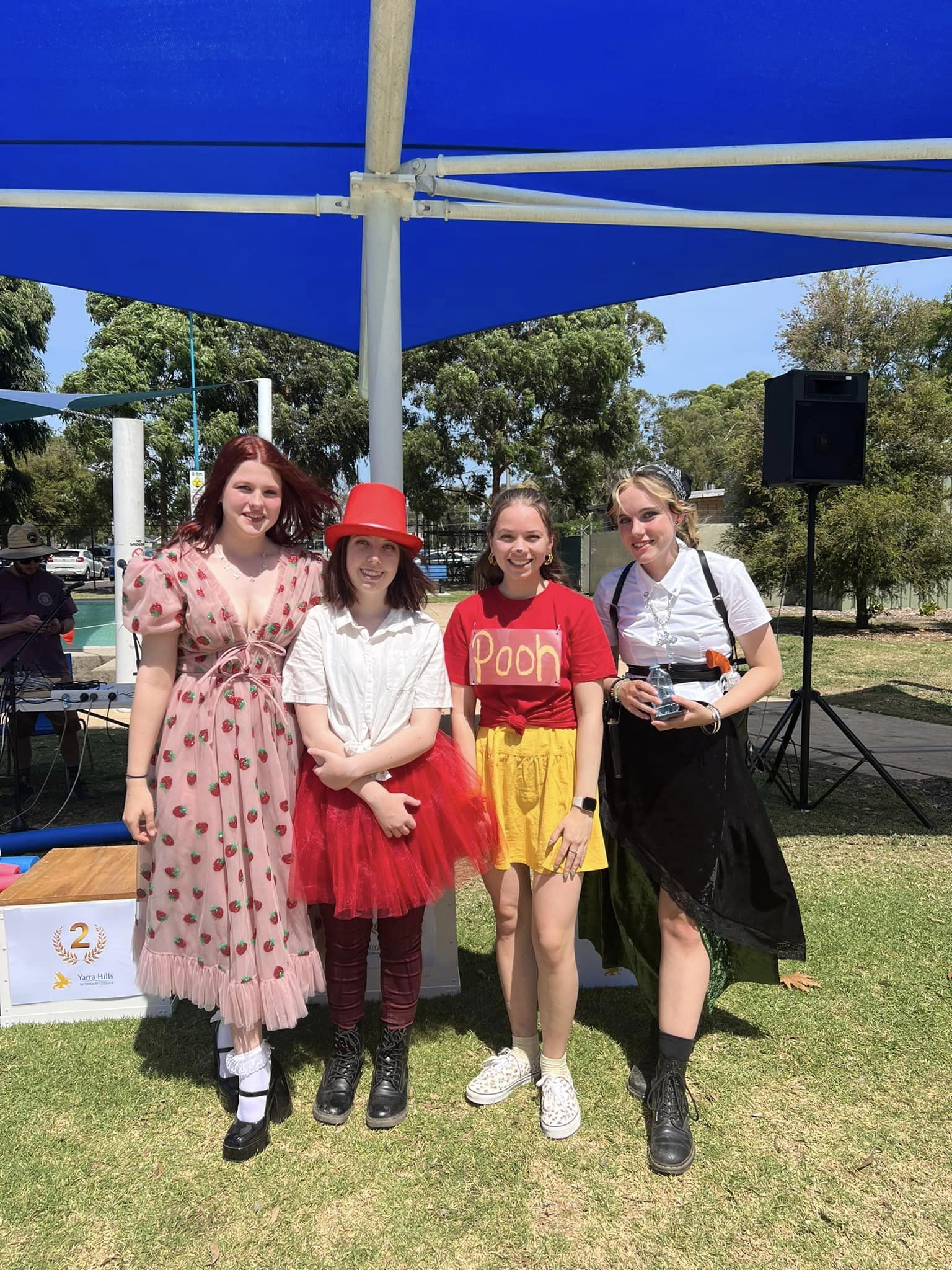 YHSC HOUSE SWIMMING CARNIVAL! Yarra Hills Secondary College